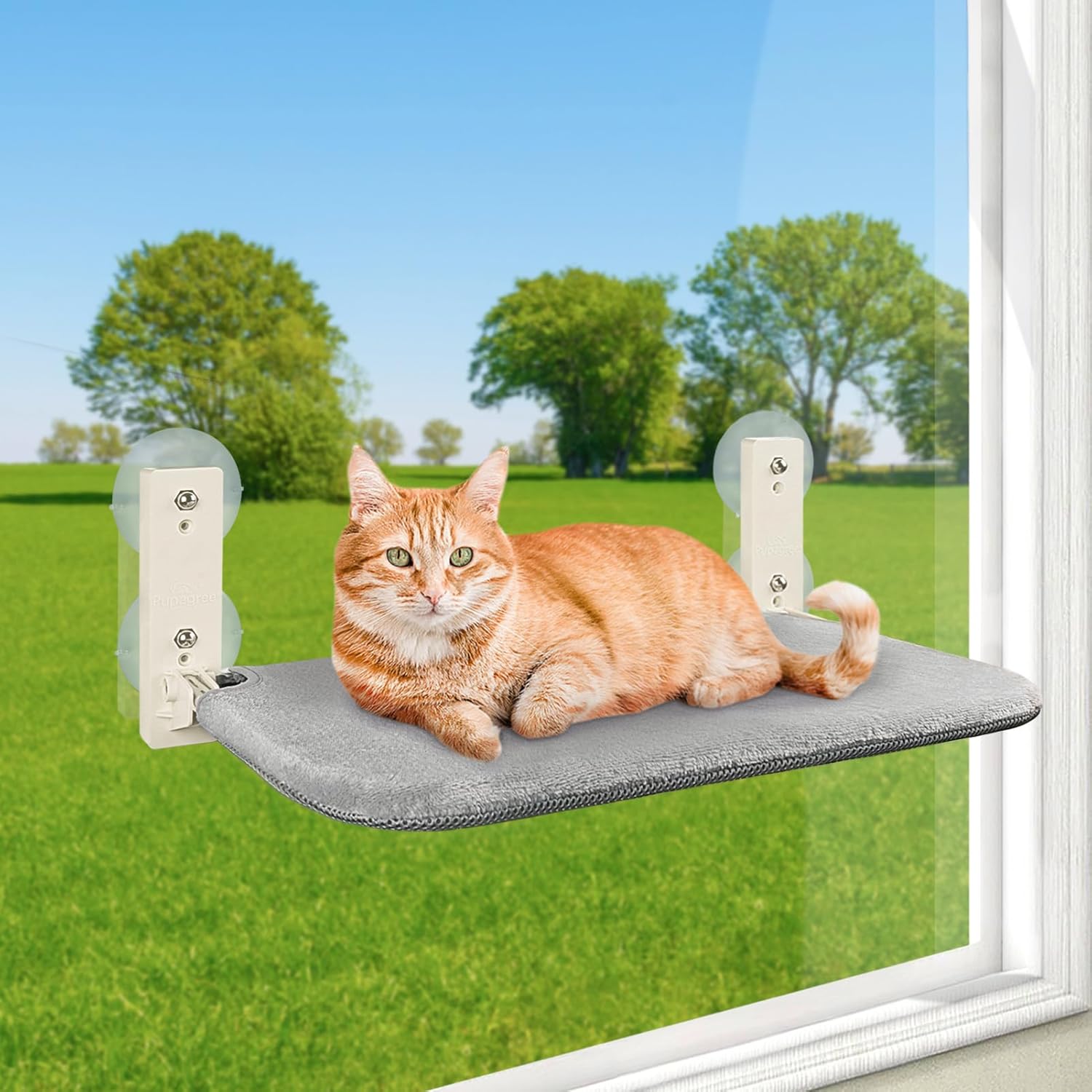 Cordless Foldable Cat Window Perch, Cat Hammock Update Secure Hold wi ...