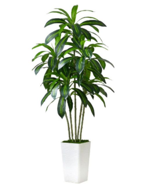 180cm Brazilian iron